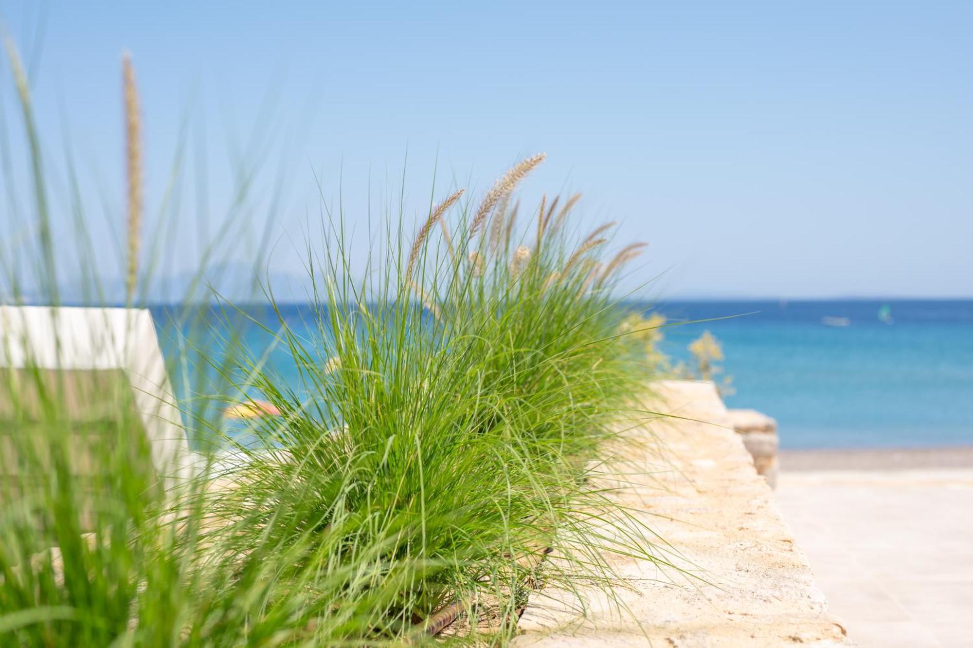 Nalu Luxury Adults Only Διαμέρισμα